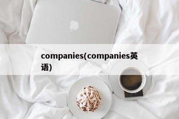 companies(companies英语)