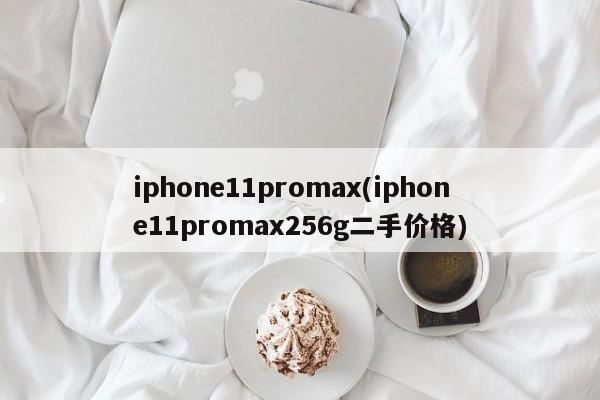 iphone11promax(iphone11promax256g二手价格)